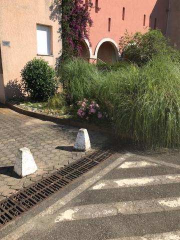 Apartament Corsica Studio Face A La Mer Moriani Plage San-Nicolao Zewnętrze zdjęcie